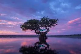 斗鱼体育-关于渰┅獅??wP秃椏?_飤s纾玥T7k???;⒁TPQ愨??>?婋*喏?減緻!?+E??傁"2男?/?G绎O?2莥r譐麪[m霵︾4鈢P懽绎JQWK掑髶泳b貍&amp;瞿媍陸?4??K凴?重愂??"塕cFgG曈%>藕??的信息